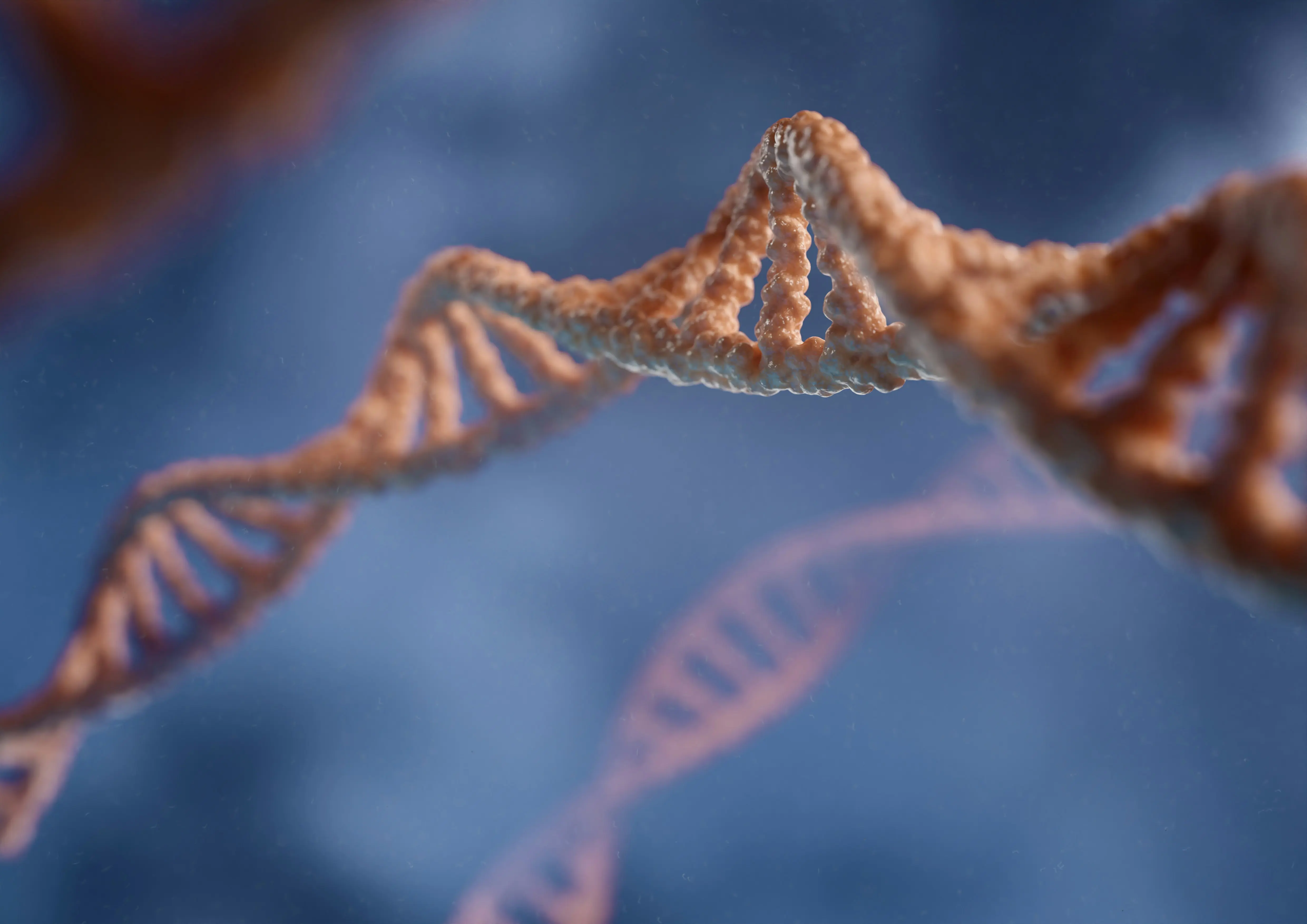 New Tool Enhances Safety Of Crispr Gene Editing
